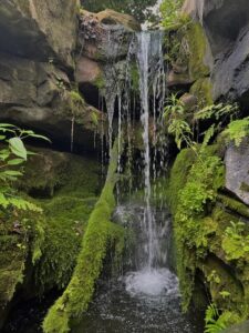 Manifesting Your Joy