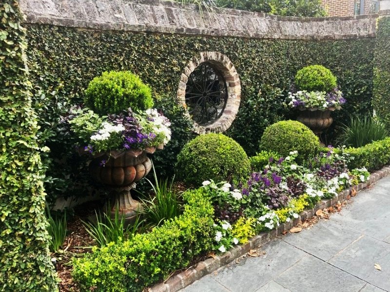A calm washes over you when viewing this lush Charleston sidewalk garden. Purple and white pansies spill over urns framing a porthole view through the stone ivy covered garden wall.
